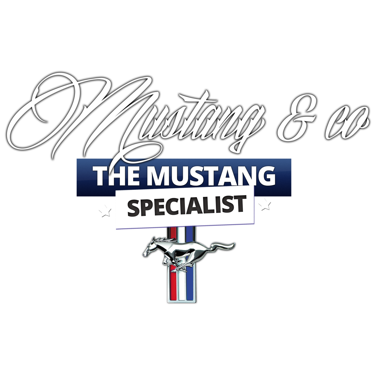Mustang & co
